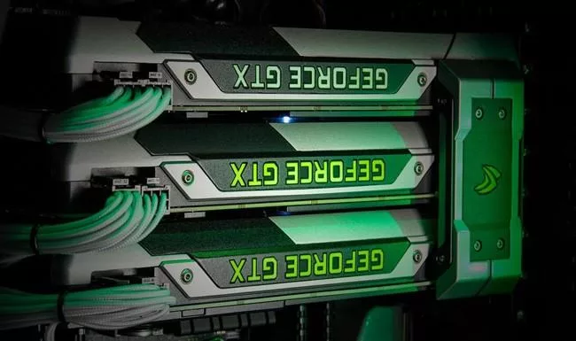 amd sau nvidia